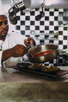 Chef preparing a gourmet dish in a modern kitchen setting, showcasing culinary skills and precision.