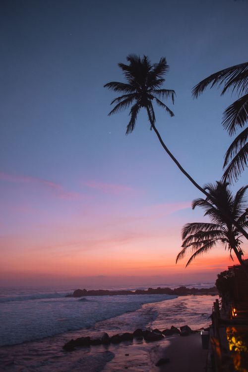 Free A tranquil tropical beach scene at sunset with palm trees silhouetted against a colorful sky. Stock Photo