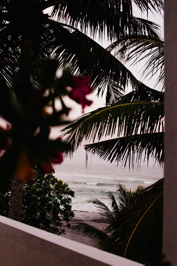 A View Of The Sea From A Window