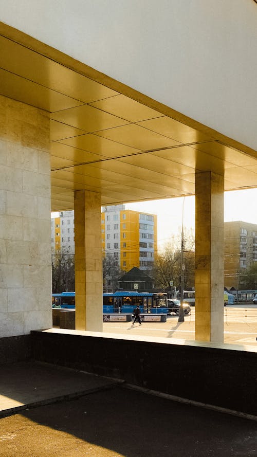 Exterior of contemporary public building with wide roof above concrete columns located in city downtown on sunny day