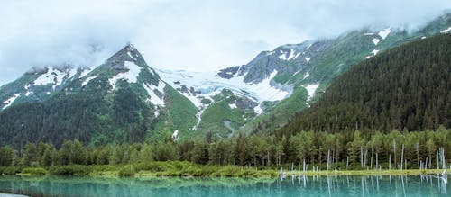 Mountains and Forest around Lake