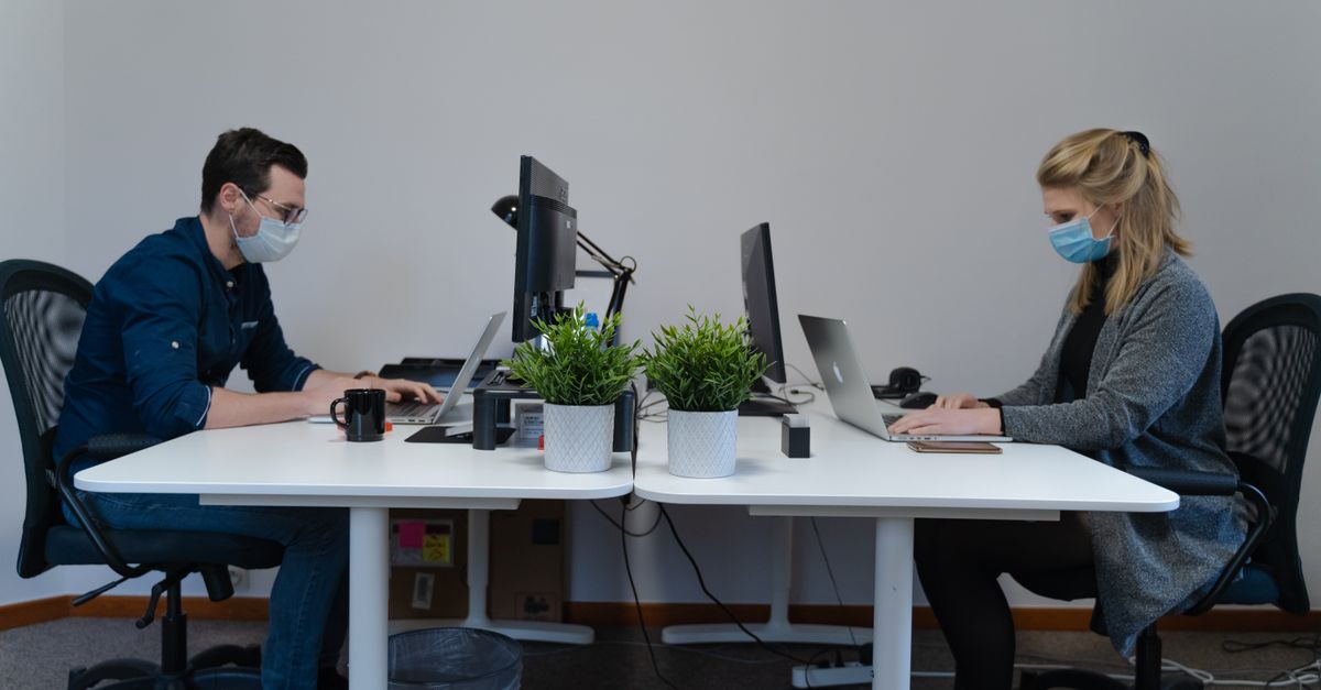 Dos empleados trabajando en una oficina con mascarillas, separados por escritorios, usando laptops para ser productivos.