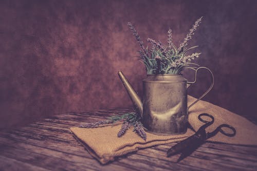 Free Silver Watering Can Filled With Flowers Stock Photo
