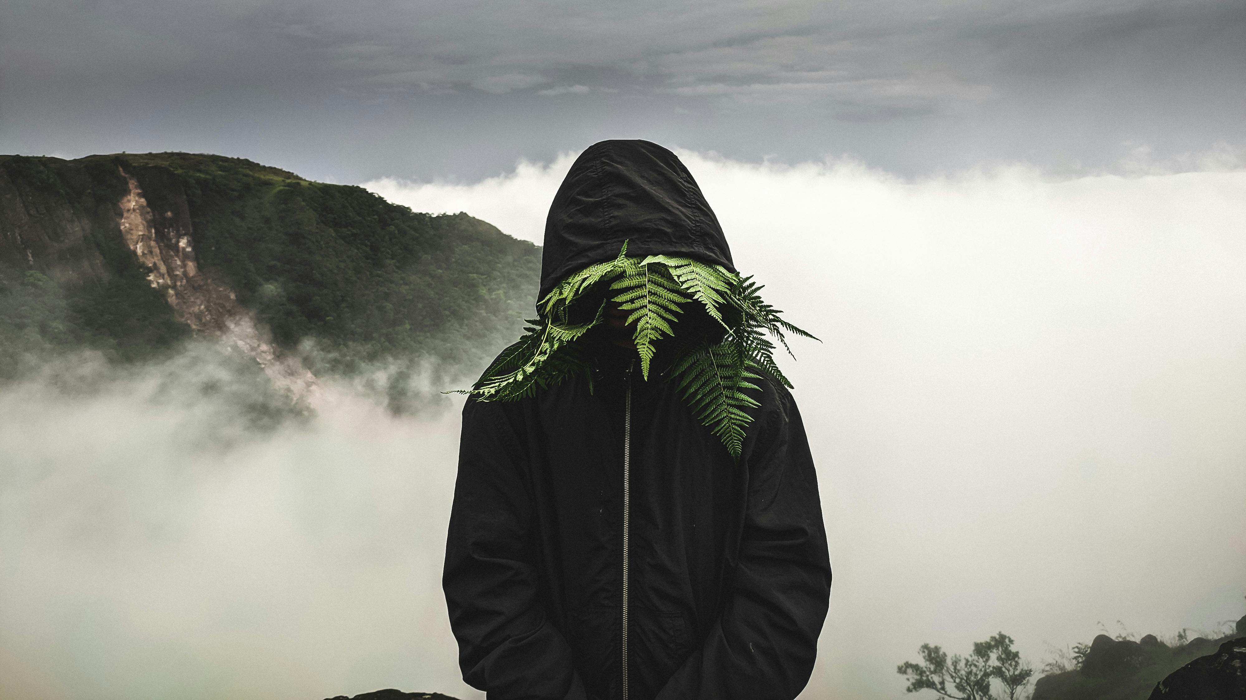 Person Sitting on Mountain Peak in Fog · Free Stock Photo