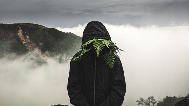 Mysterious figure wearing a hooded jacket obscured by ferns in a foggy mountain landscape.
