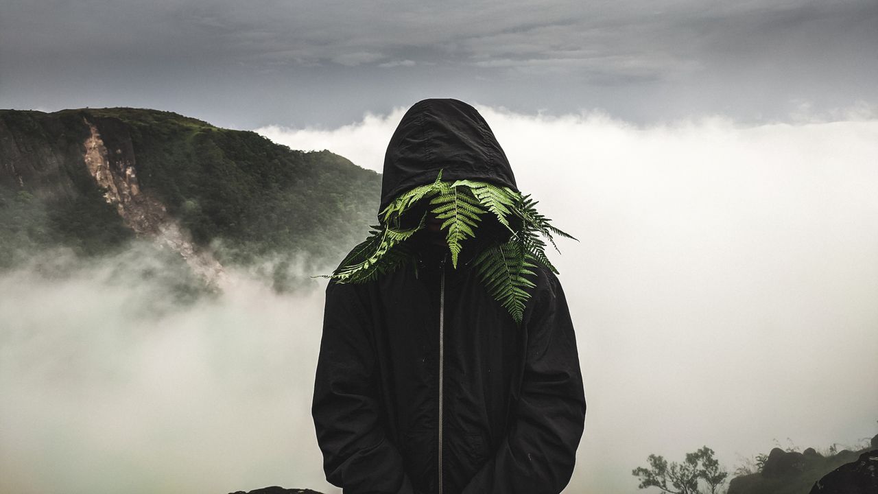 mysterious figure wearing a hooded jacket obscured by ferns in a foggy