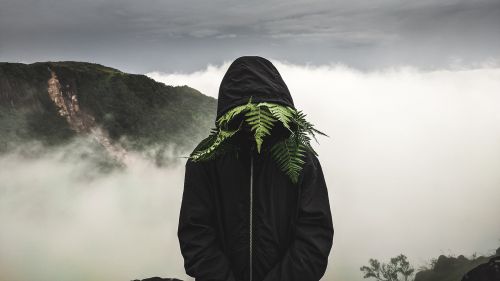 Free Mysterious figure wearing a hooded jacket obscured by ferns in a foggy mountain landscape. Stock Photo