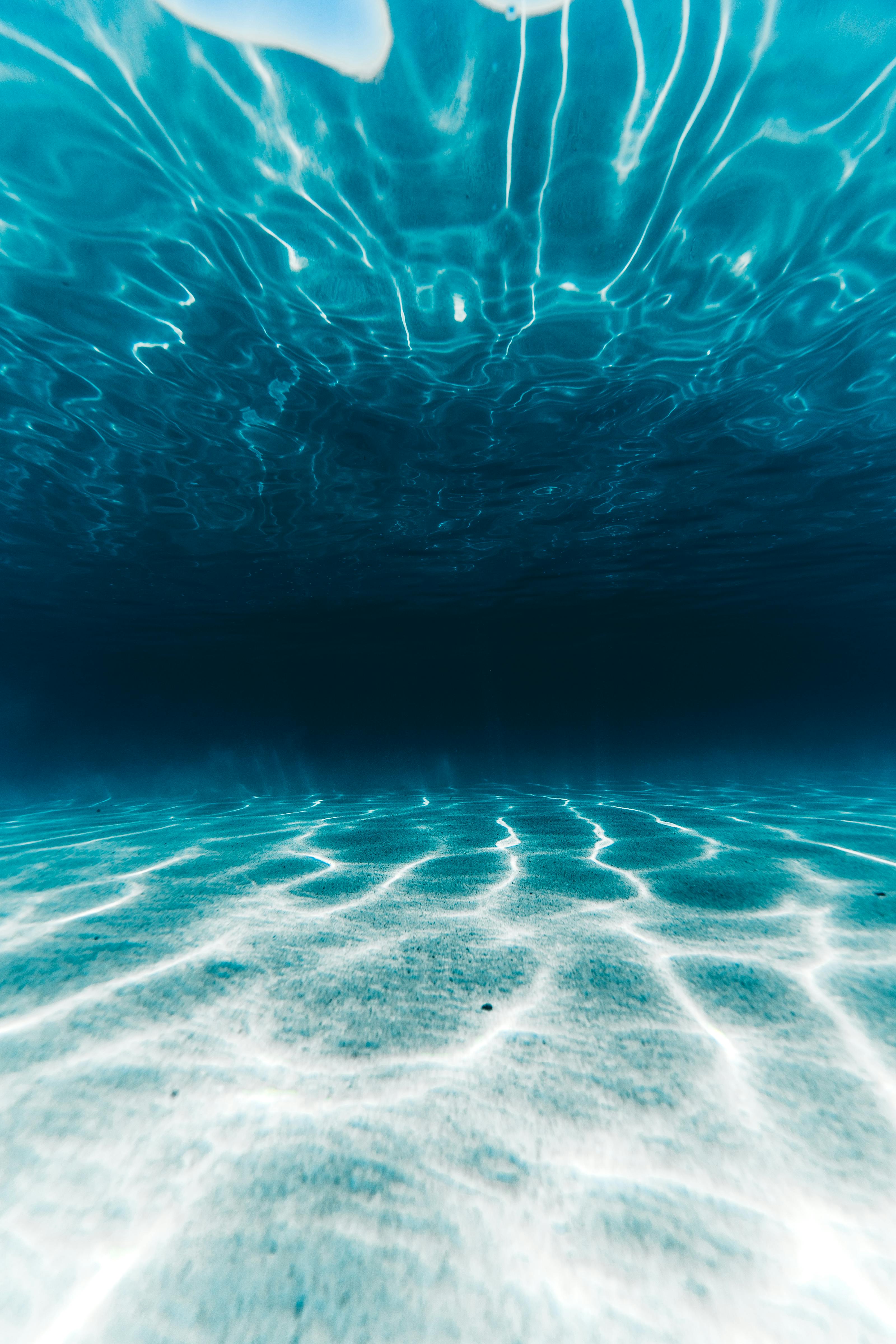 sunlight underwater