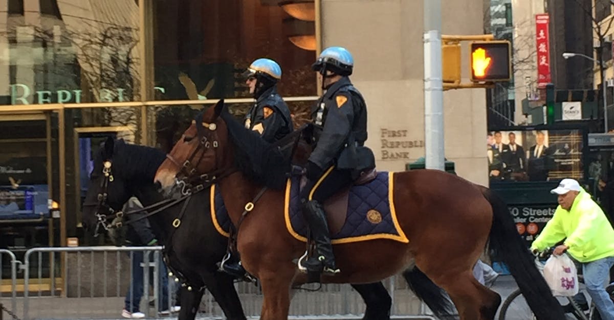 Free stock photo of horses, new york city, police