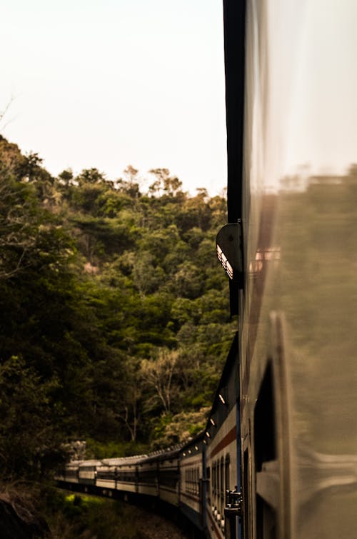 Free stock photo of adventure, green, light