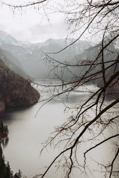 Foggy view of a lakeside in the Bavarian Alps, showcasing serene natural beauty.