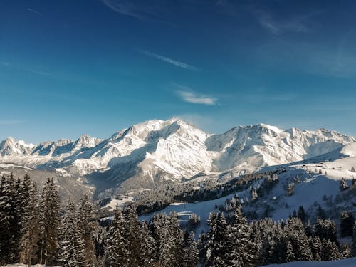 Imagine de stoc gratuită din Alpi, cer albastru, codru