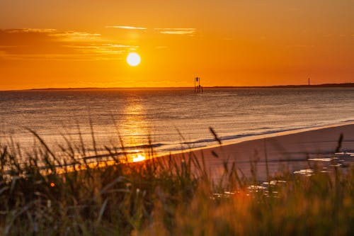 A Beach during Golden Hour