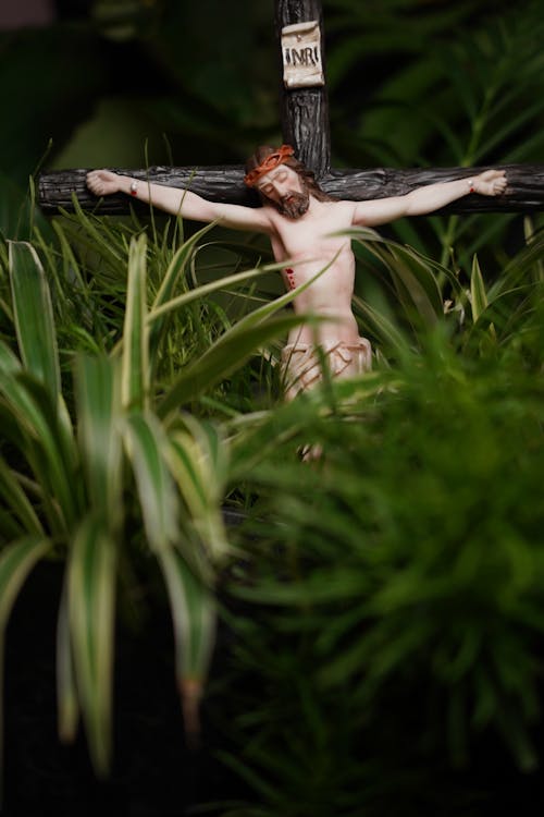 Free The Crucifix Among Green Plants  Stock Photo