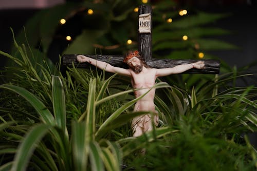 Kostnadsfria Kostnadsfri bild av crucifixion, grönt gräs, Jesus Stock foto