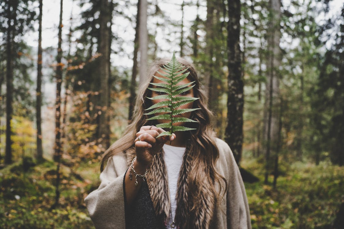 Free 녹색 식물을 들고 숲에 서있는 여자 Stock Photo