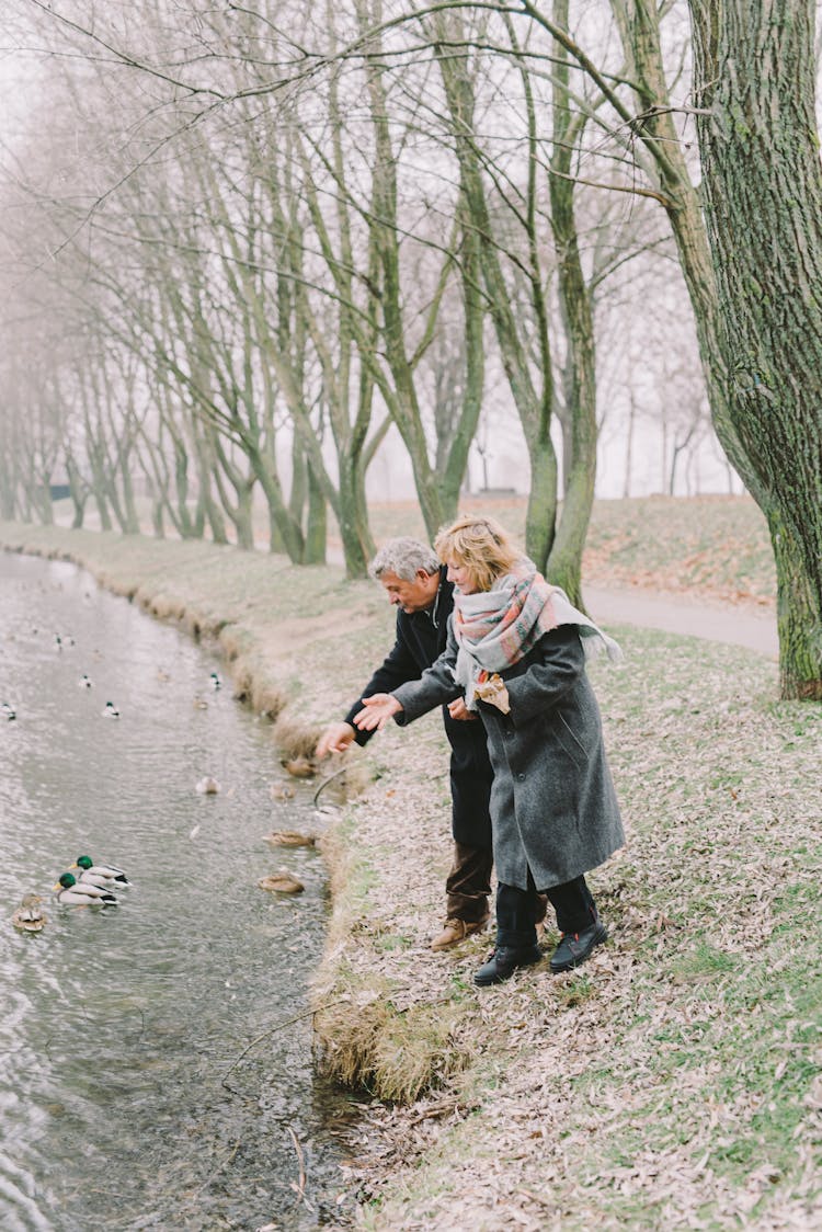 Elderly Couple Feeding Ducks On The Lake