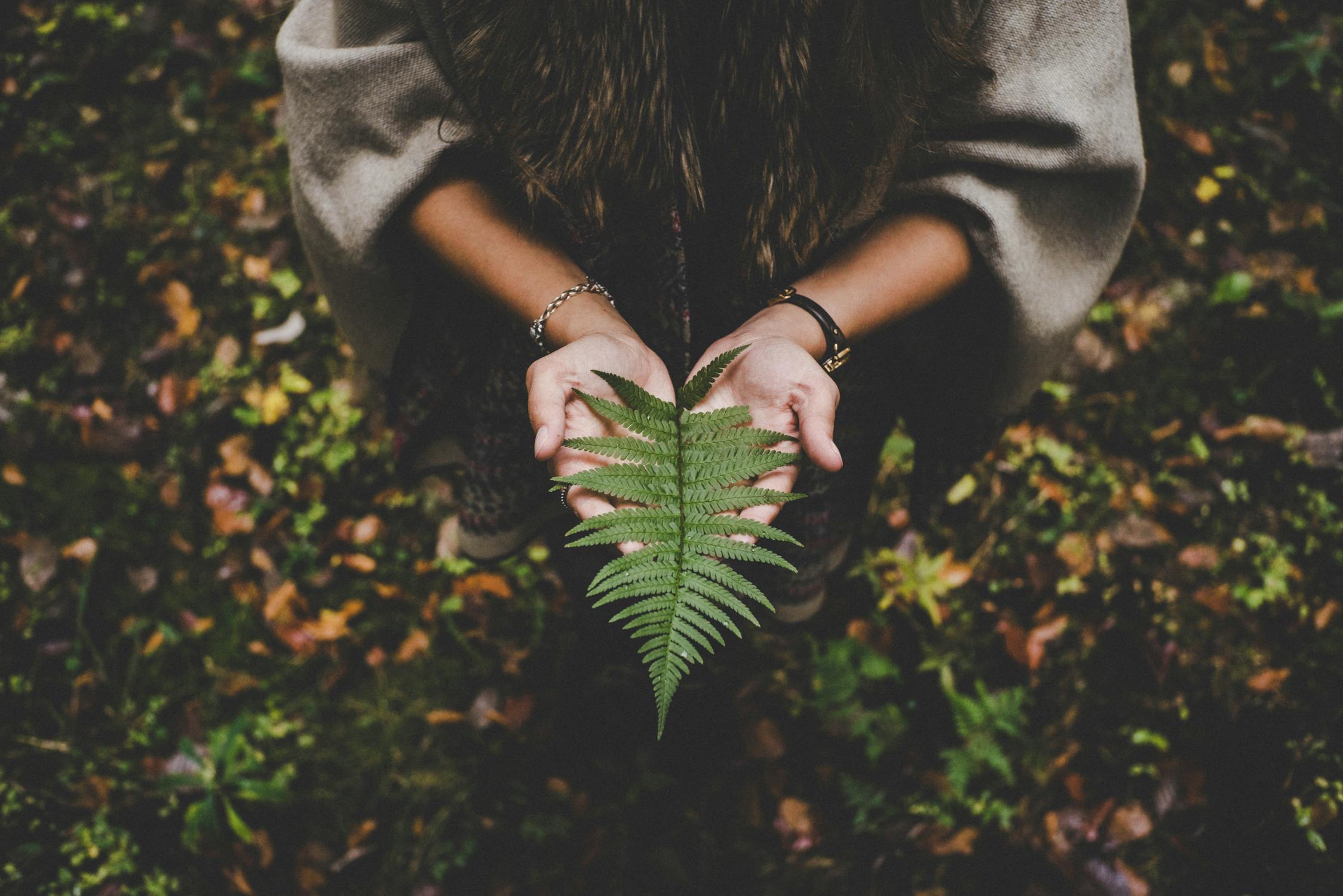 holding leaf