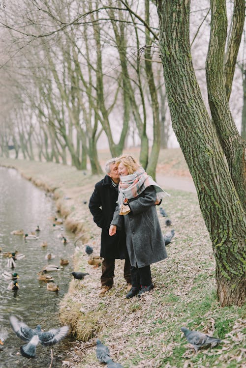 Man Kissing A Woman Feeding Ducks