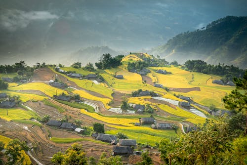 Free Scenic view of small rural houses surrounded by abundant green fields and located on picturesque sunny hilltop Stock Photo