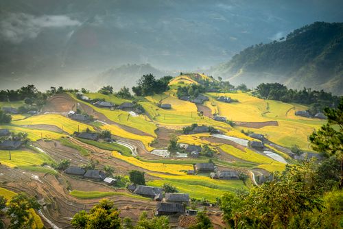 Free Scenic view of small rural houses surrounded by abundant green fields and located on picturesque sunny hilltop Stock Photo