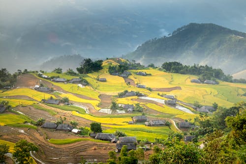 Free Amazing scenery of rural village and plantations on hilltop Stock Photo