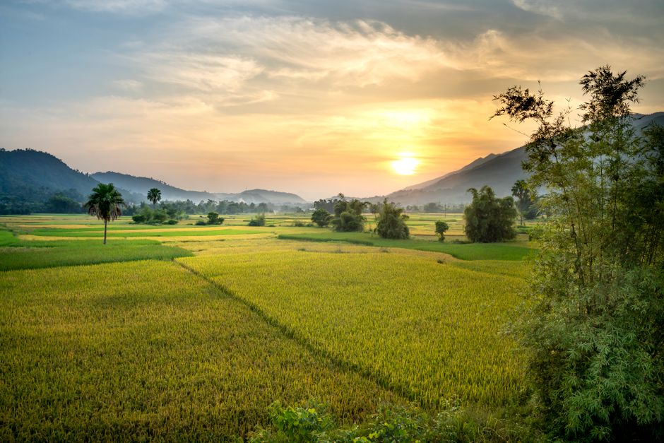 Federal Government Expands Temporary Foreign Worker Access for Rural Employers
