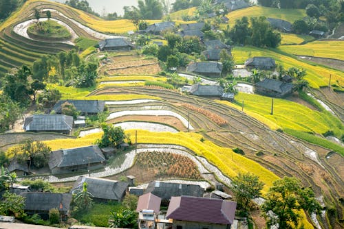 High angle picturesque scenery of small village houses near lush agricultural fields in verdant countryside on sunny day