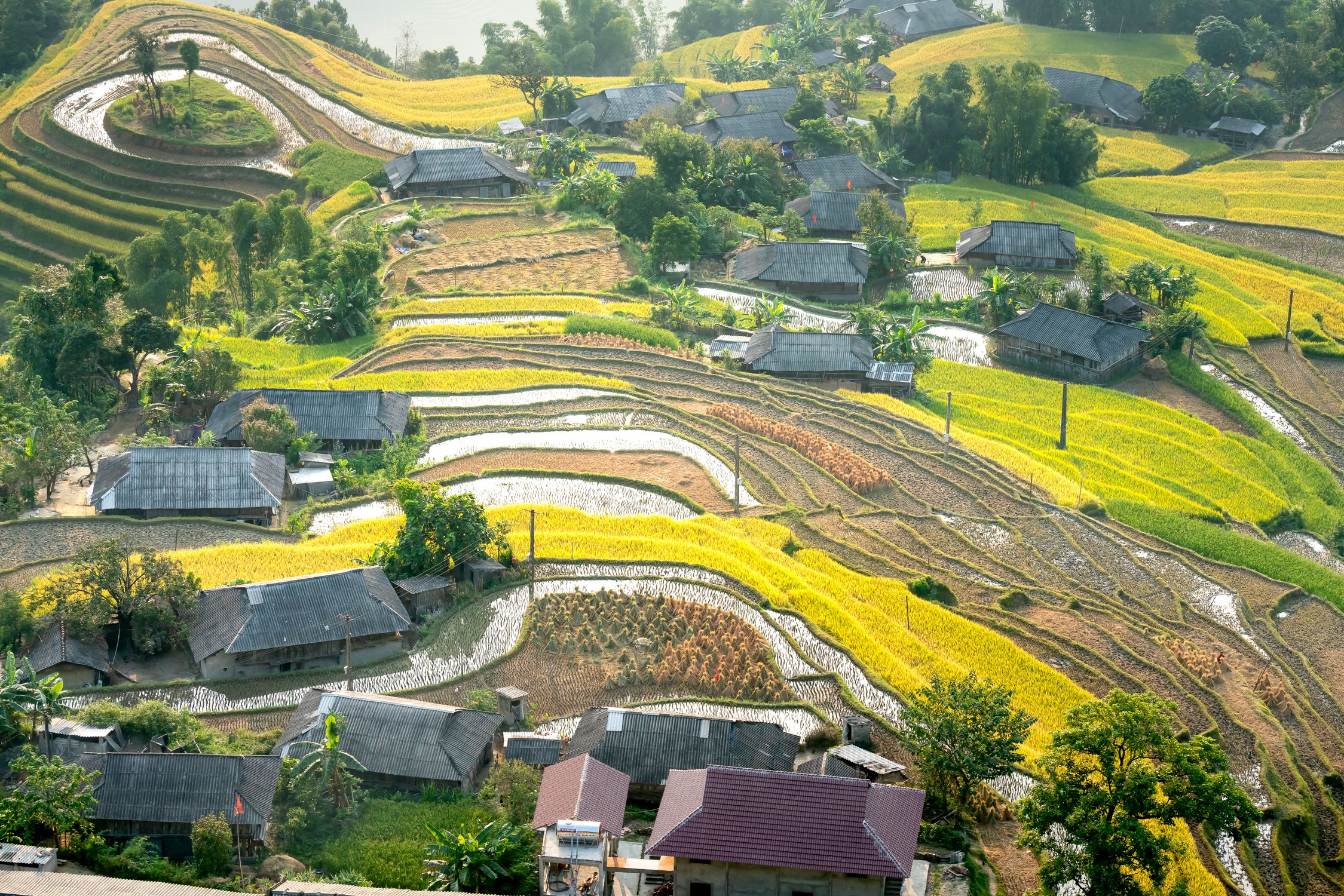 Small Village Near Agricultural Fields In Countryside Free Stock Photo small-village-near-agricultural-fields-in-countryside-free-stock-photo
