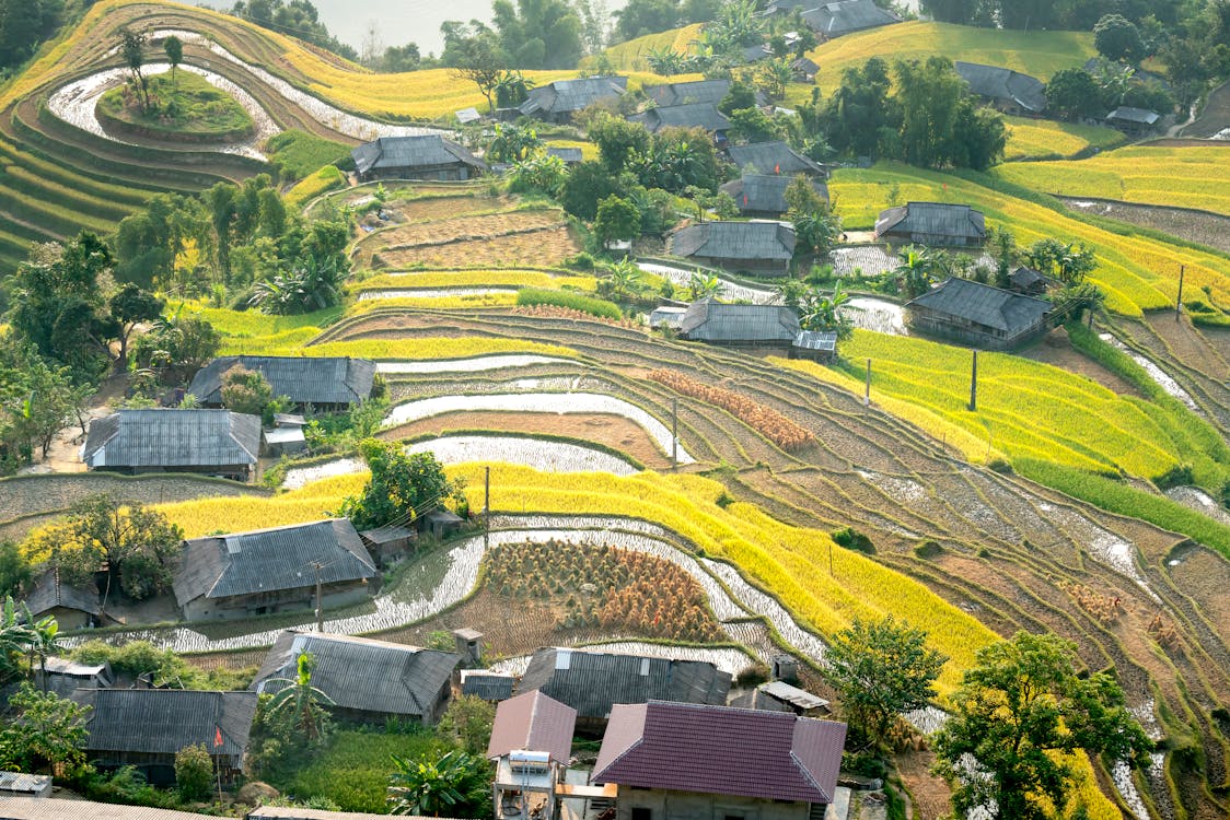 Small village near agricultural fields in countryside · Free Stock Photo