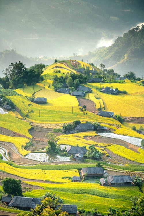 Lush fields and rural houses on verdant hilltop