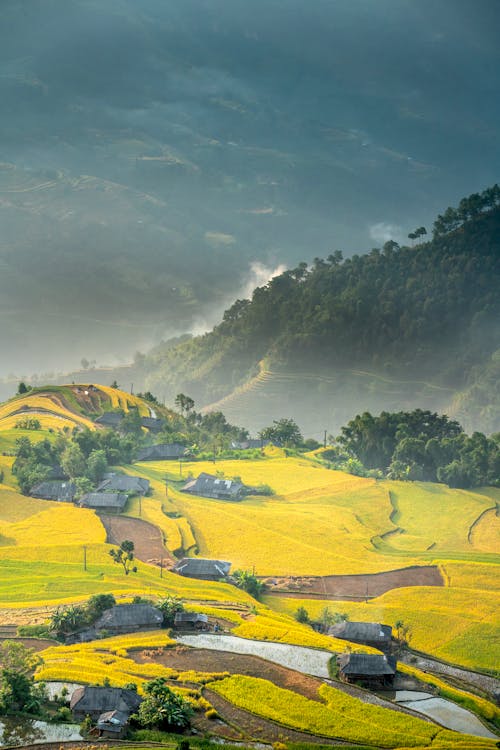 Picturesque scenery of abundant lush rapeseed fields and small houses on hilltop in green forested highlands