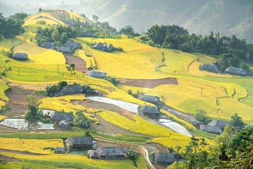 Agricultural fields near rural houses on hilly valley