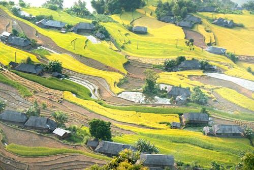 Spectacular view of verdant green fields and small cottages on hilly valley in tranquil countryside