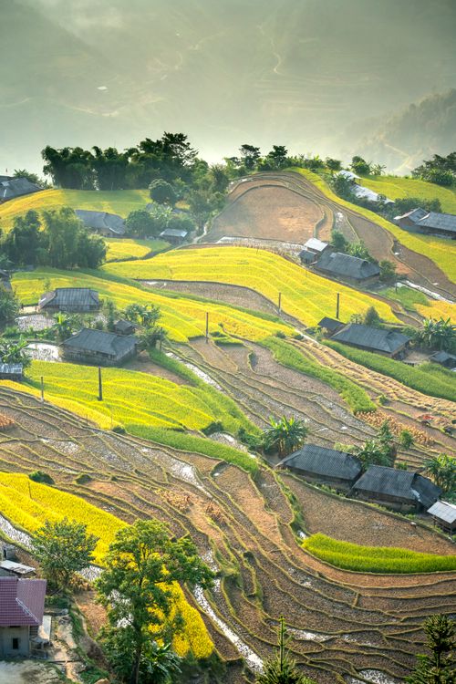 Free From above amazing scenery of remote village houses and lush plantations on hilltop located in verdant green highlands on misty weather Stock Photo