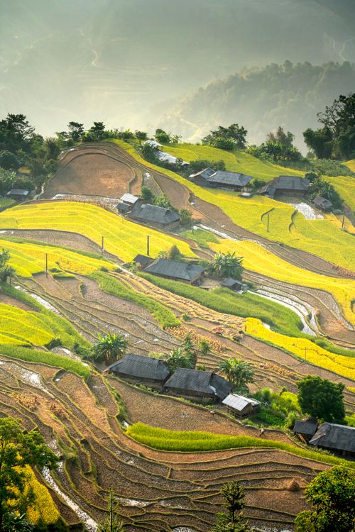 Free High angle scenic scenery of rapeseed and tea plantations near small village houses located on hill slope in peaceful highlands Stock Photo
