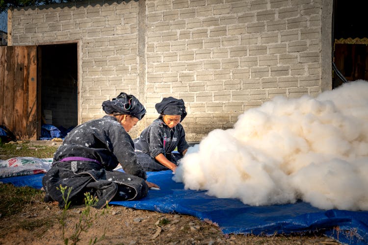 Concentrated Asian Female Workers Cleaning Cotton On Farm Ground