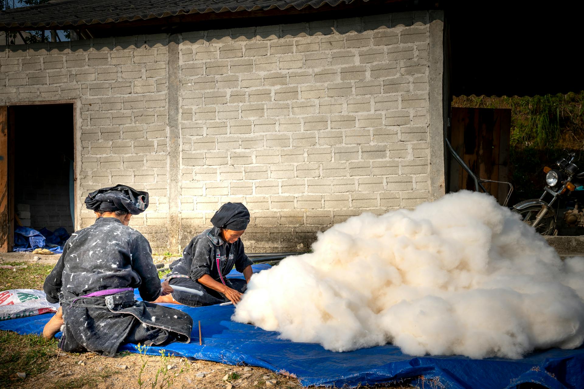 Full length Asian farmworkers cleaning and sorting collected cotton while sitting together on ground in countryside