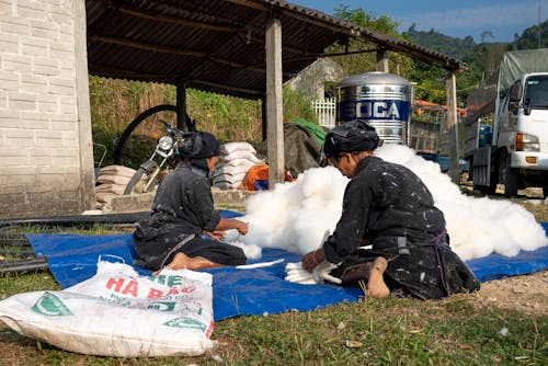 Back view focused Asian female workers in dirty uniforms sitting on ground and sorting heaped cotton in sunny countryside