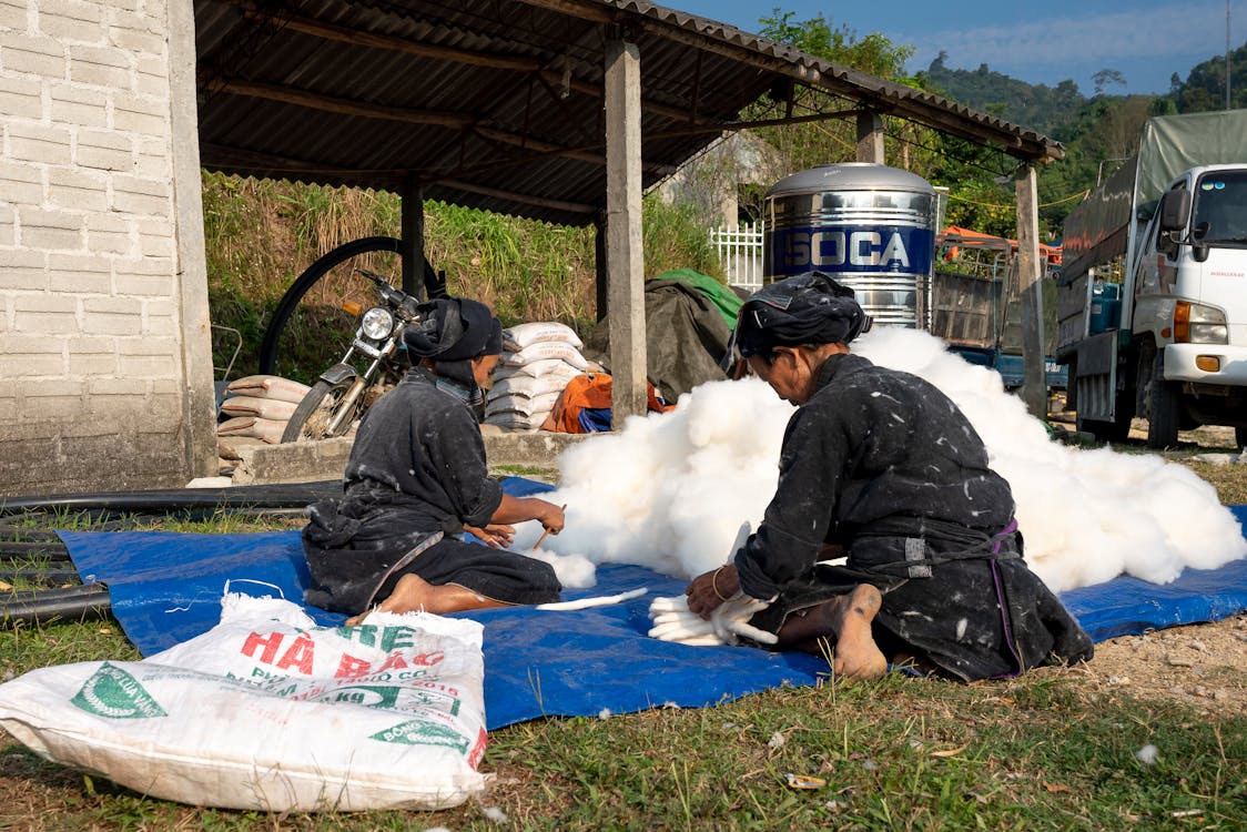 Back view focused Asian female workers in dirty uniforms sitting on ground and sorting heaped cotton in sunny countryside