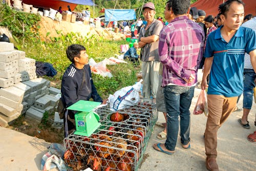 Asian male in casual clothes selling brown chickens in cages in crowded indigenous bazaar in countryside