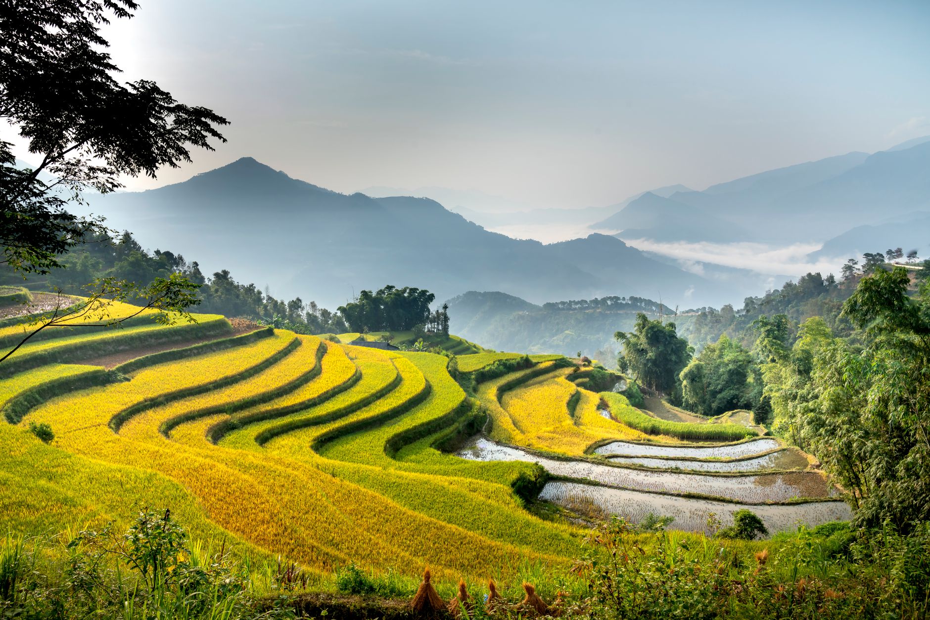 Scenic landscape of terraced rice fields located on green mountain slope on sunny day in tropical countryside