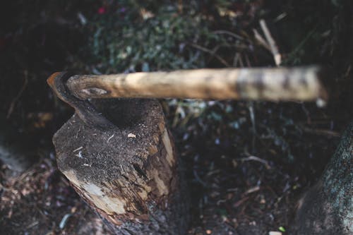 Ax in the stump