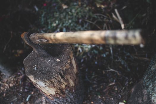 Ax in the stump