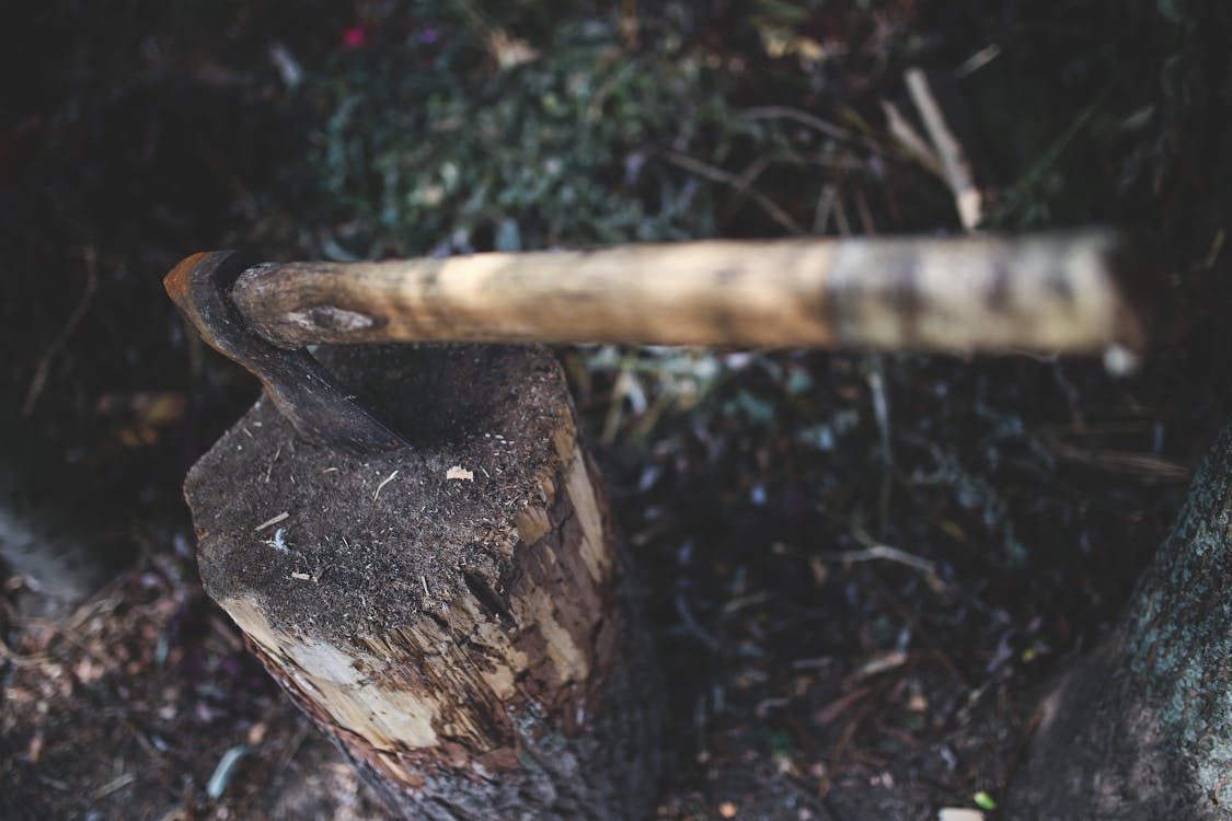Free Ax in the stump Stock Photo