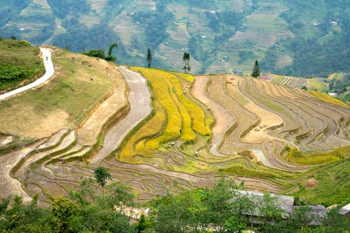 From above of picturesque terraces of rice plantation located on mountain slope in valley on sunny day
