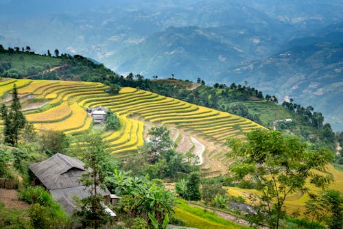 Agricultural fields located on mountains slopes in tropical countryside