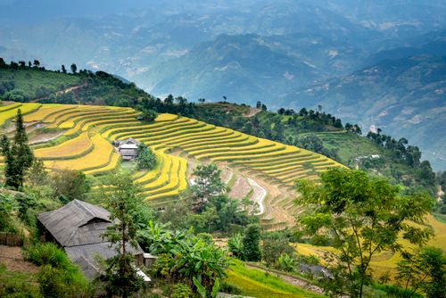 Free Breathtaking scenery of mountainous valley with well groomed terraced rice paddies and lush green vegetation on sunny day in countryside Stock Photo