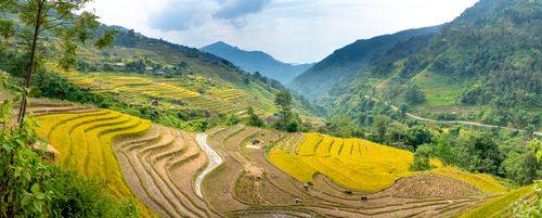 Free Rural large rice field in picturesque green mountain terrain against blue sky in sunny day Stock Photo