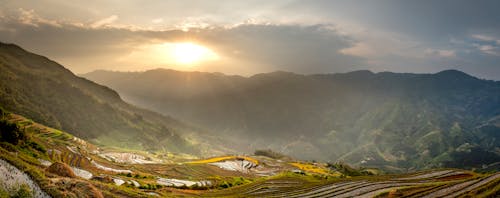 Foto d'estoc gratuïta de a l'aire lliure, a pagès, agricultura